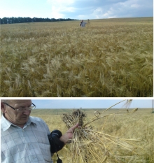 ����� �� 2012 ����