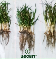2016. Первомайський район, с. Камяний Міст