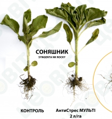 26/05/2017 ������� ���. ������������� �-�