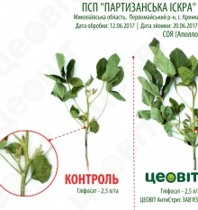 20/06/2017 Первомайський р-н Миколаївська обл.